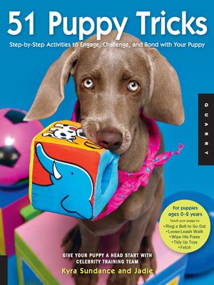 cover image of 51 Puppy Tricks